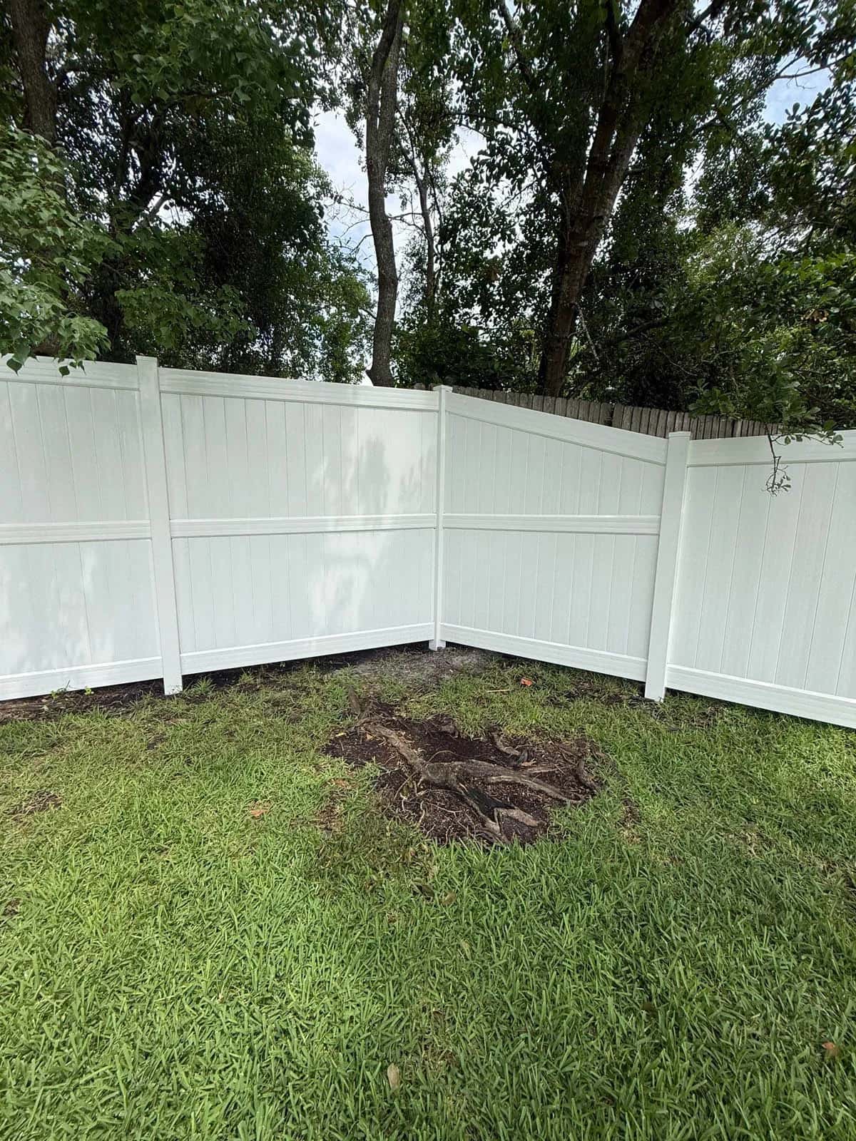 Florida White Vinyl Fence Transitioning From 8 Foot To 6 Foot