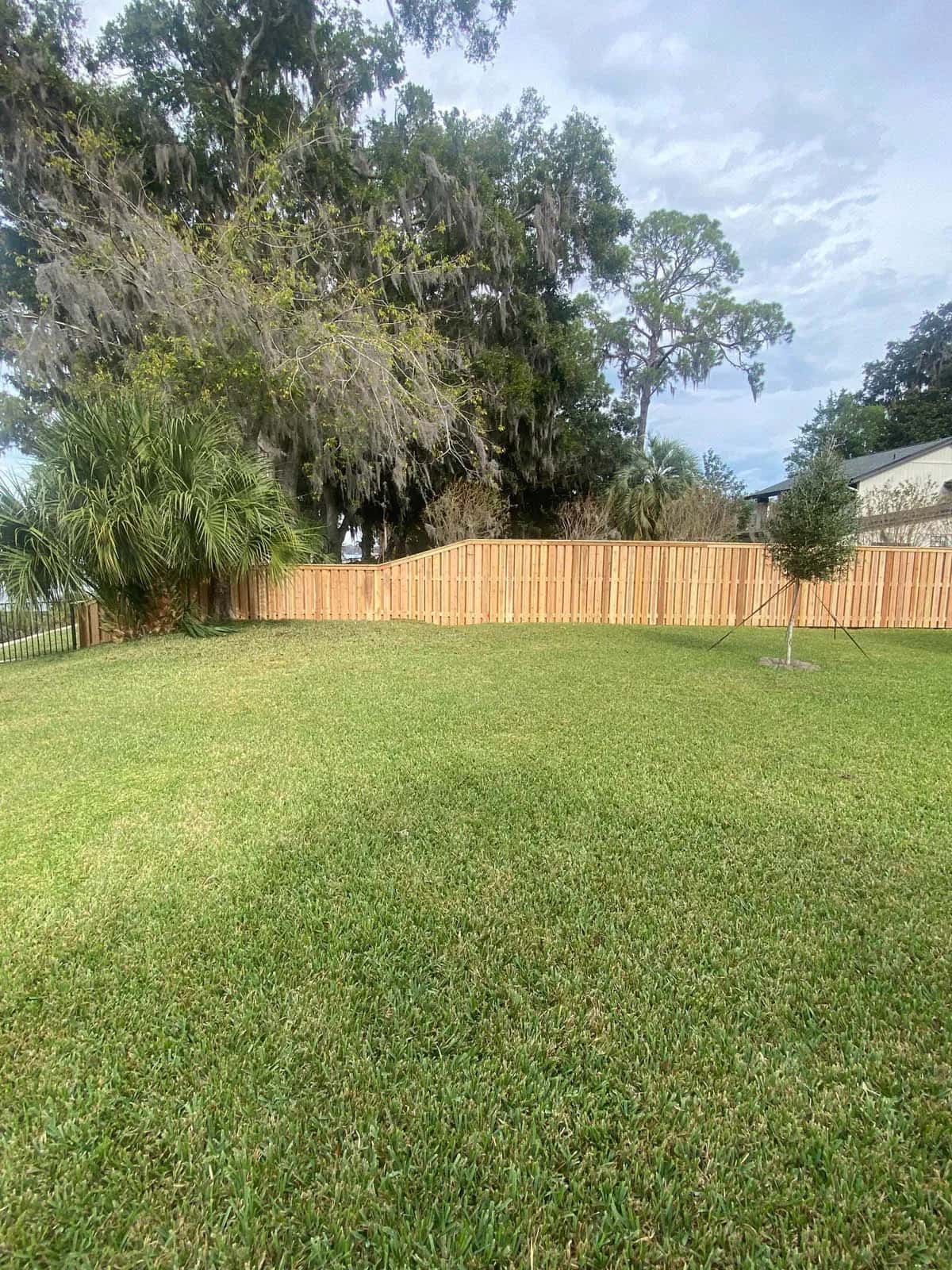 Florida Wood Cedar Privacy Fence Shadowbox Transition